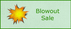 Blowout Sale Blowout Sale