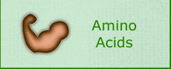 Amino Acids Amino Acids