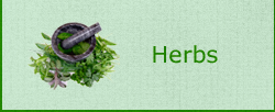 Herbs Herbs