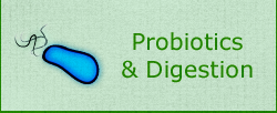 Probiotics & Digestion Probiotics & Digestion